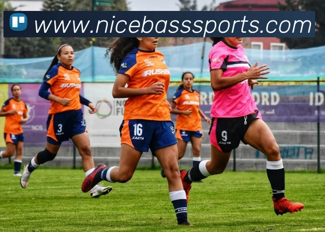 App Interface Preview